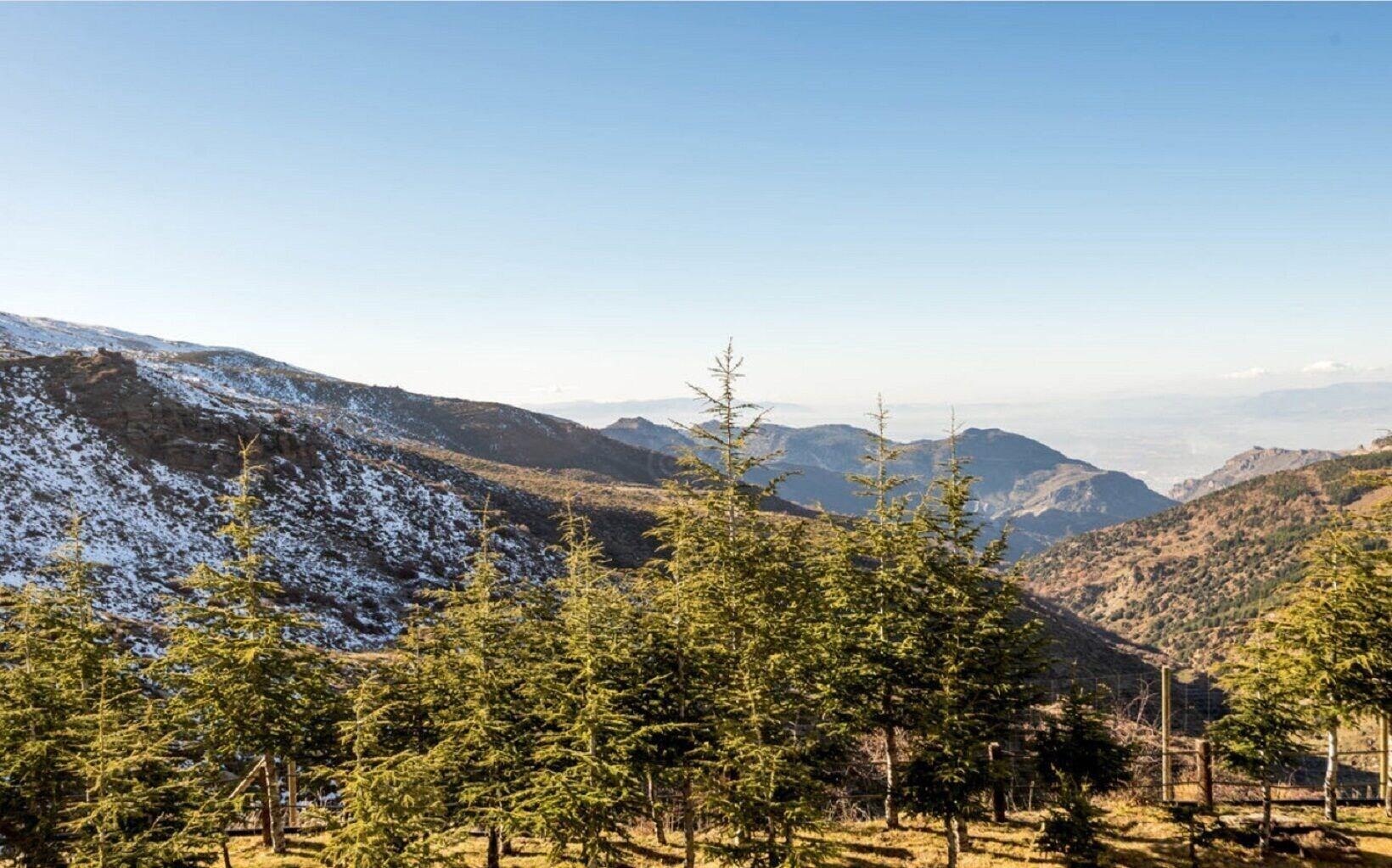 Hotel Apartamentos Trevenque Sierra Nevada Zewnętrze zdjęcie